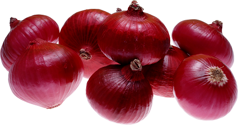 red onion farming