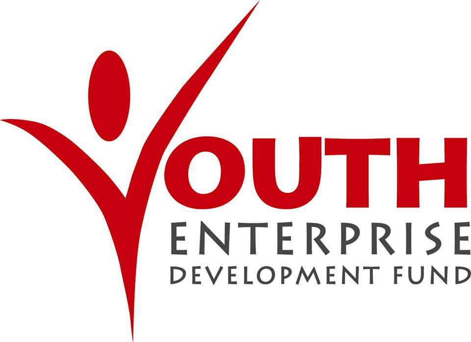 Youth Enterprise Development Fund